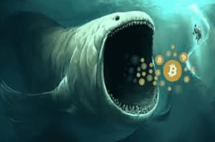 The Impact of Whales on Token Prices
